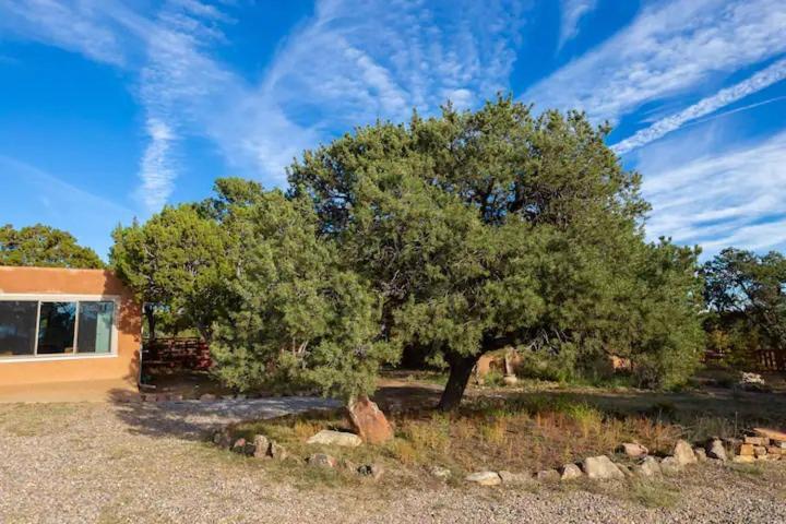 Bed and Breakfast Pet Friendly Pinon Heaven à Canada de los Alamos Extérieur photo